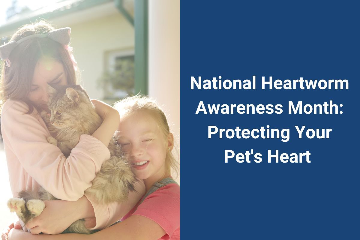 National-Heartworm-Awareness-Month-Protecting-Your-Pets-Heart