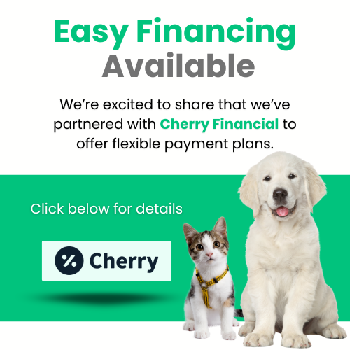 Golden retriever puppy and kitten sitting together, promoting easy financing options with Cherry Financial.