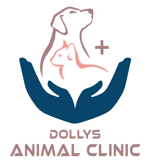 Hands cradling a dog and cat outline with "Dollys Animal Clinic" text below.