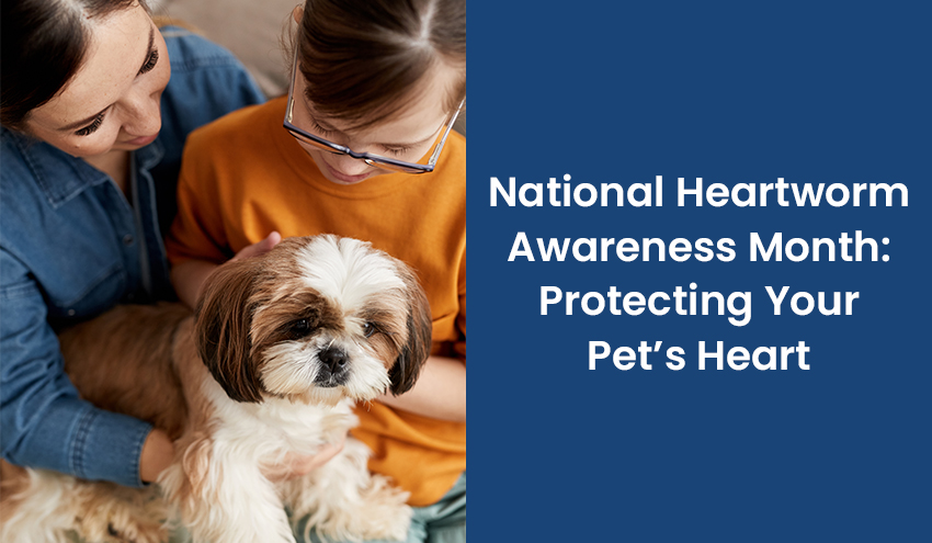 Two people holding a small dog, with text reading "National Heartworm Awareness Month: Protecting Your Pet’s Heart.