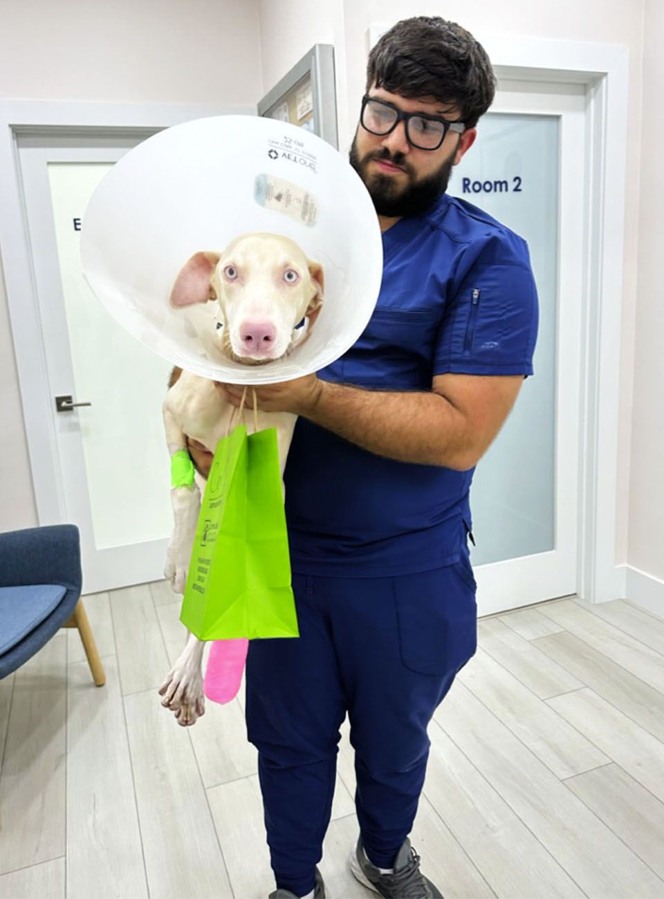 A man holds a dog wearing a cone collar and colorful bandages, while standing in a veterinary clinic.