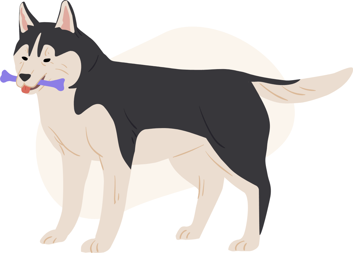 A cartoon husky holding a purple bone in its mouth.