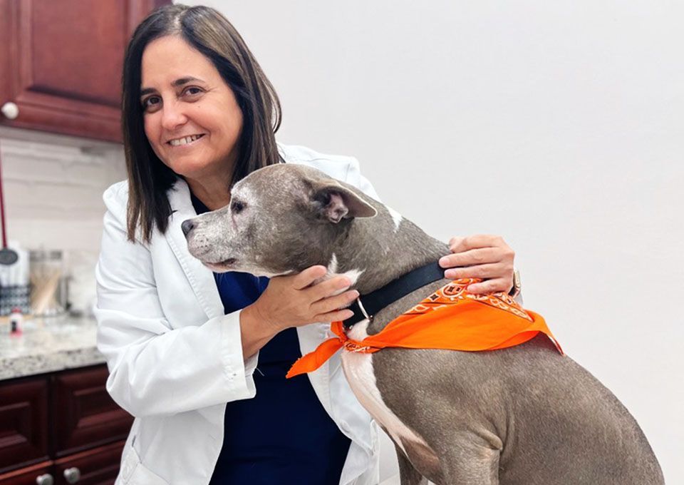 A woman in a white coat smiling and petting a gray dog wearing an orange bandana.