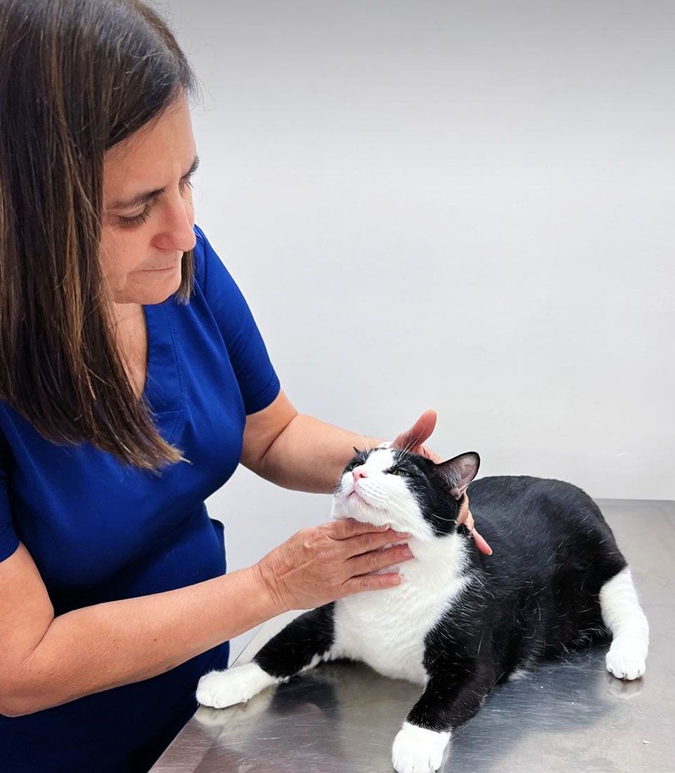 Woman in blue scrubs pets a content black and white cat on a table.