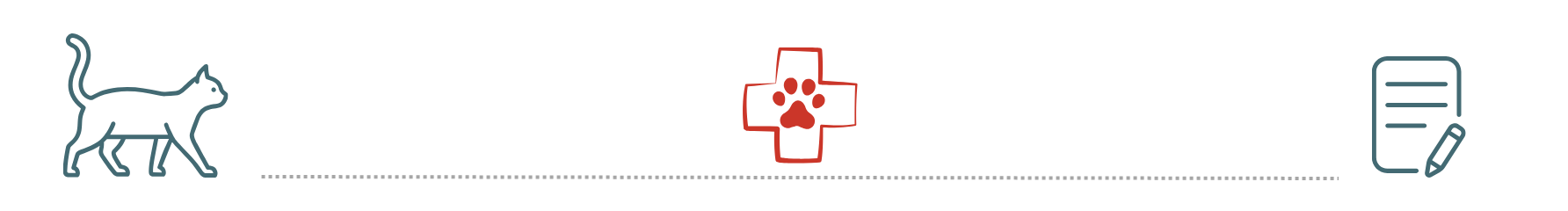 pet insurance supports preventive pet care at Dollys Animal Clinic in Miami FL