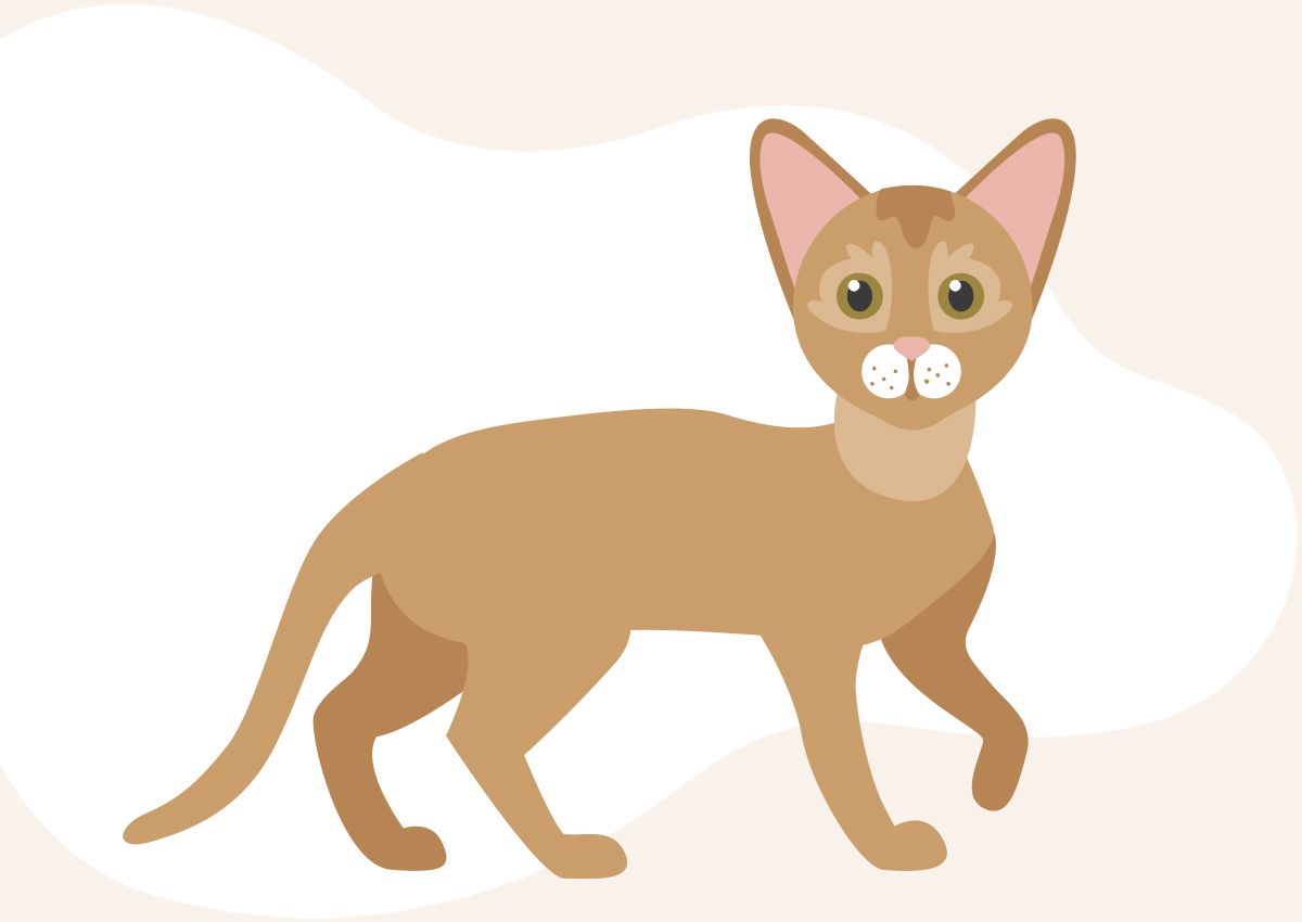 Illustration of a tan cat with green eyes and pointy ears, standing in profile.