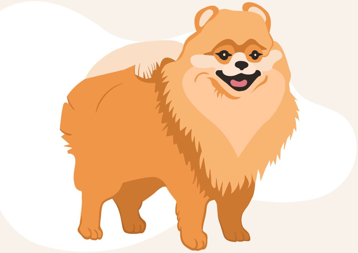 Illustration of a fluffy orange dog with a happy expression standing on all fours.