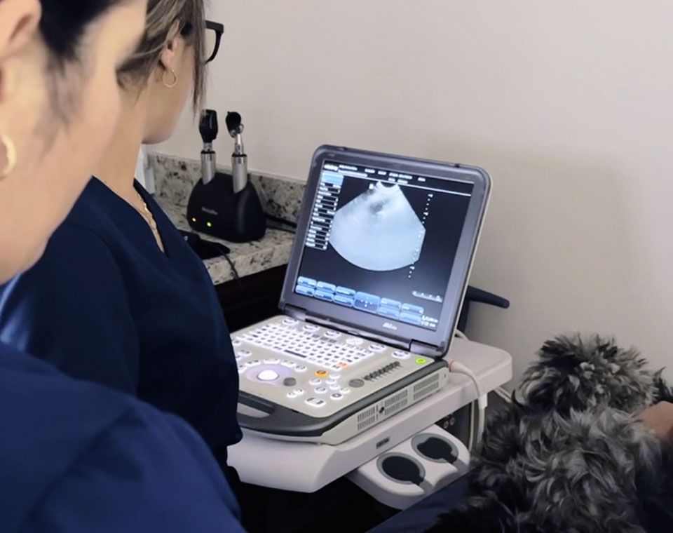 Two people in scrubs conducting an ultrasound on a small furry dog using a portable machine.